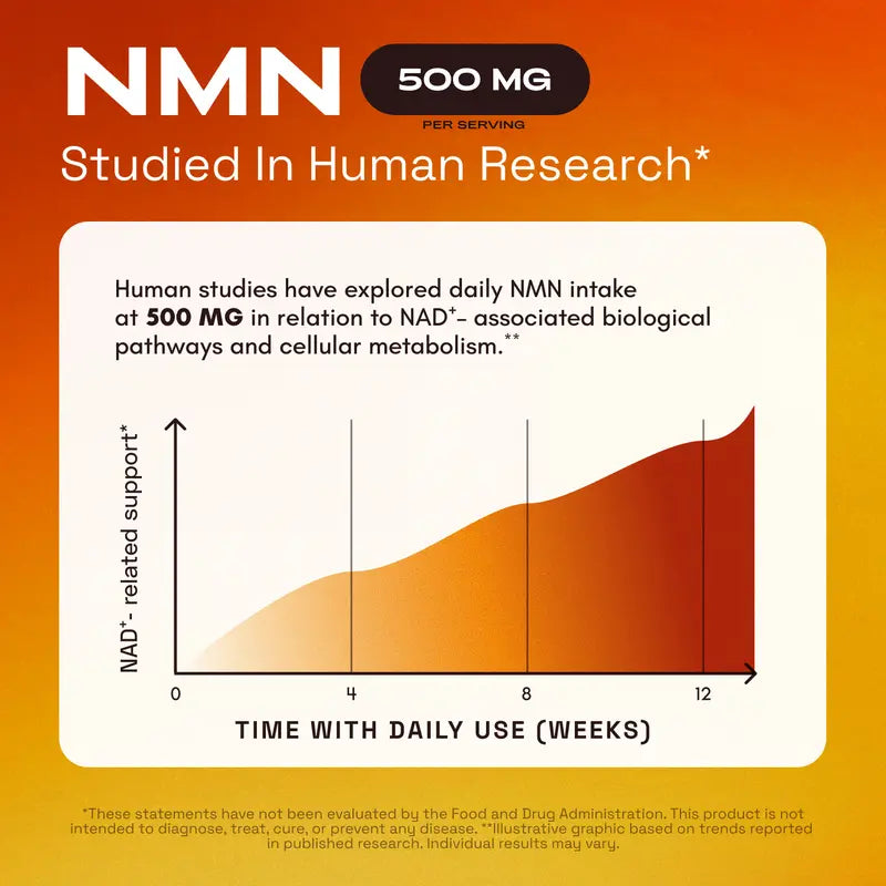 NAD+ Support Complex - NMN, Quercetin, TMG & Resveratrol for Cellular Energy and Healthy Aging