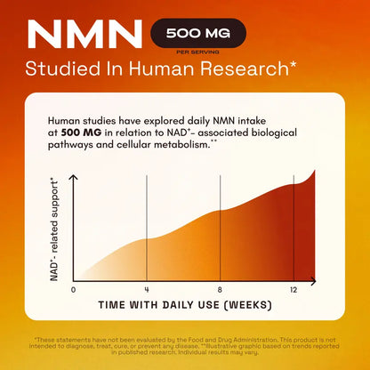NAD+ Support Complex - NMN, Quercetin, TMG & Resveratrol for Cellular Energy and Healthy Aging