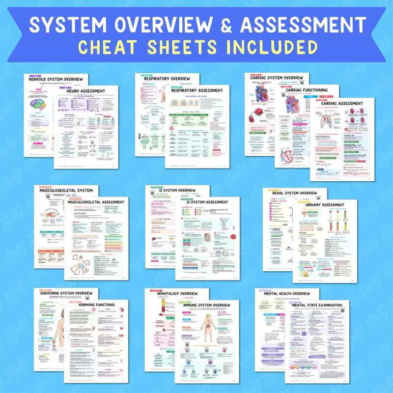 Nursing School Success Bundle [Spiral Bound]